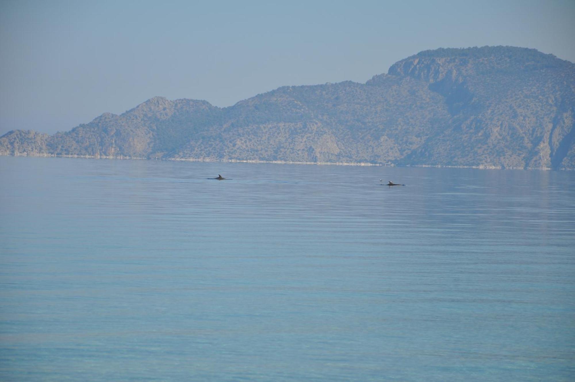 Villa In Kalloni Direkt Am Meer, Tolle Aussicht Dış mekan fotoğraf